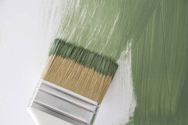Best Black Mold Removal  in Lower Burrell, PA