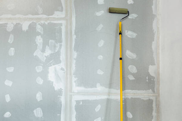 Best Water Damage & Mold Remediation  in Lower Burrell, PA