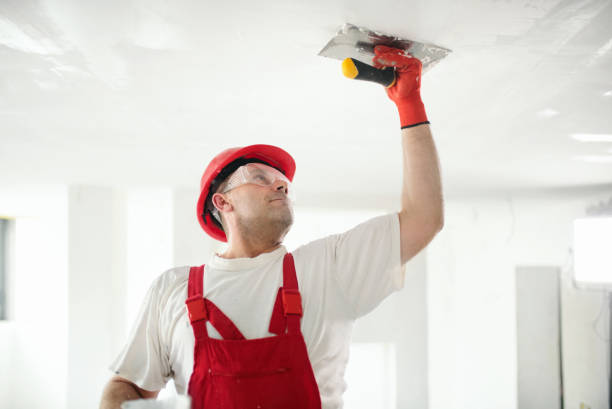 Best Forensic Mold Investigation  in Lower Burrell, PA